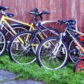 Full-Set-Of-Family-Bikes