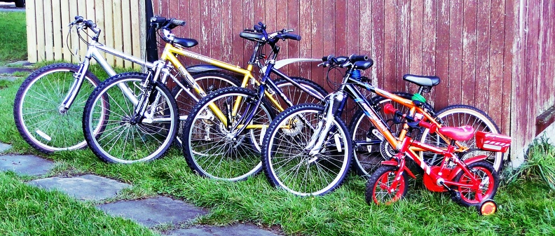 Full-Set-Of-Family-Bikes.jpg